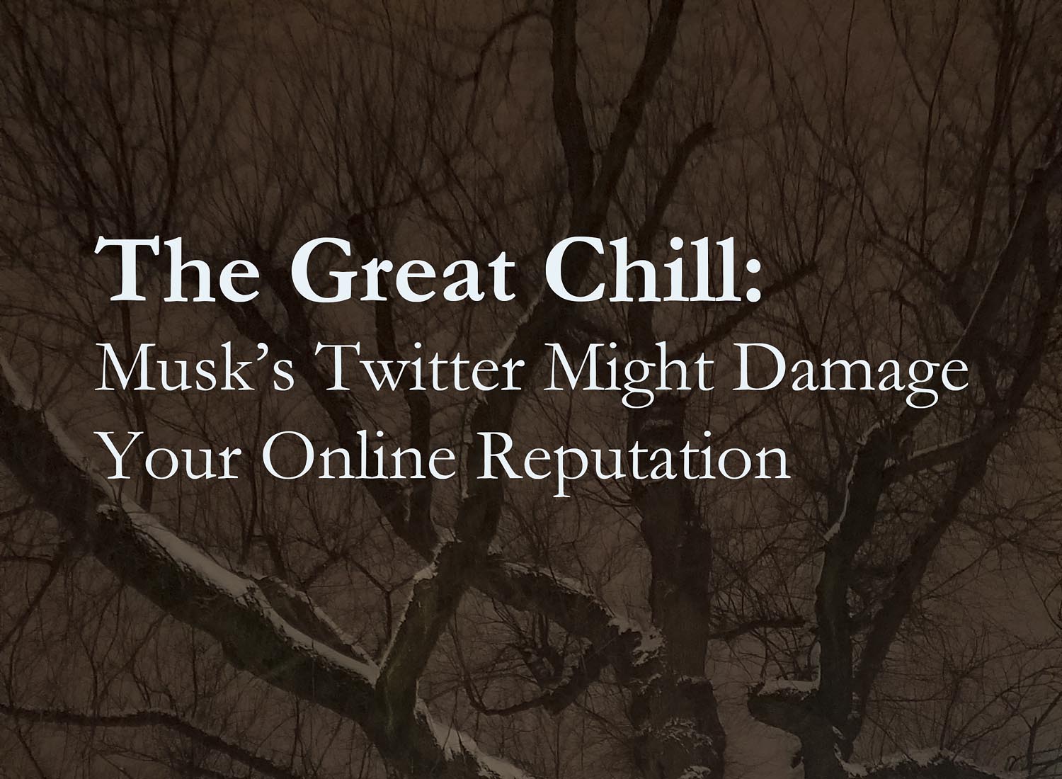 5 Ways Twitter Can Damage Your Online Reputation, by Recover Reputation: Winter Tree