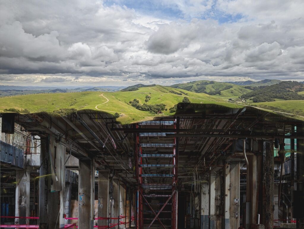 strategies for businesses to avoid greenwashing and foster sustainability: the importance of transparency, authenticity, and online reputation management